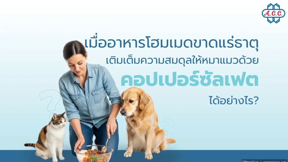 เตือนคนรักสัตว์ เลี้ยงหมาแมวด้วยอาหารโฮมเมด เสี่ยงขาดแร่ธาตุทองแดง แนะเสริมด้วยคอปเปอร์ซัลเฟตอย่างปล