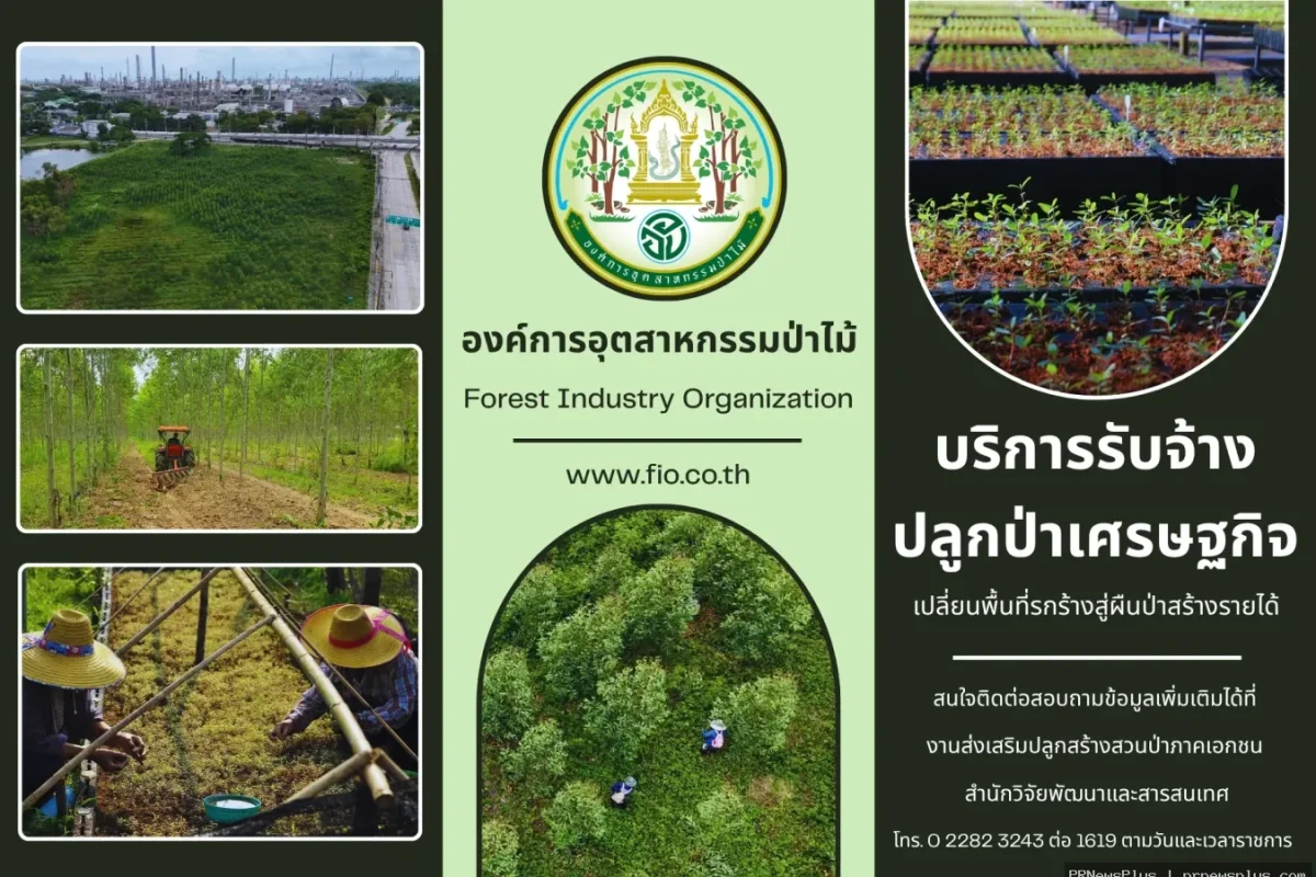 อ.อ.ป. พลิกที่ดินรกร้างสู่ “สินทรัพย์สีเขียว” เปิดธุรกิจบริการรับจ้างปลูกป่าครบวงจร